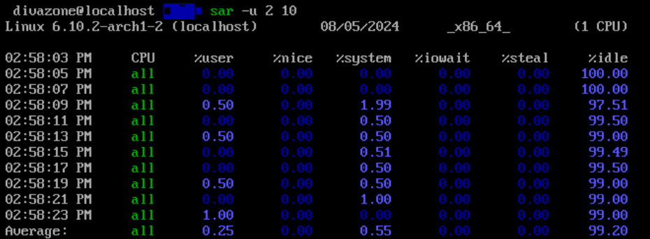 /2024/08/20240802-identifying-linux-performance-bottlenecks/sar-u.PNG